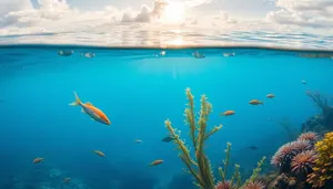 Turquoise Tropical Waters under the Sun's Glare
