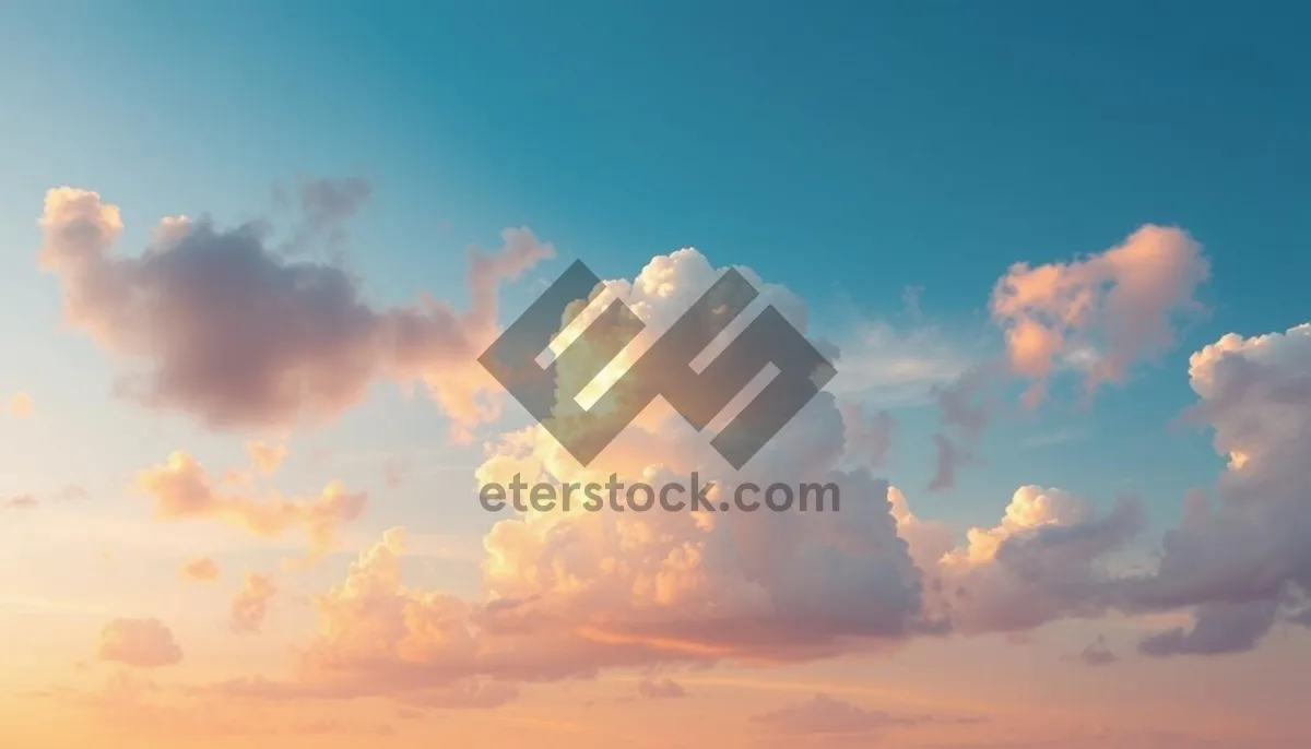 Picture of Summer Sunset Sky Landscape with Bright Stars