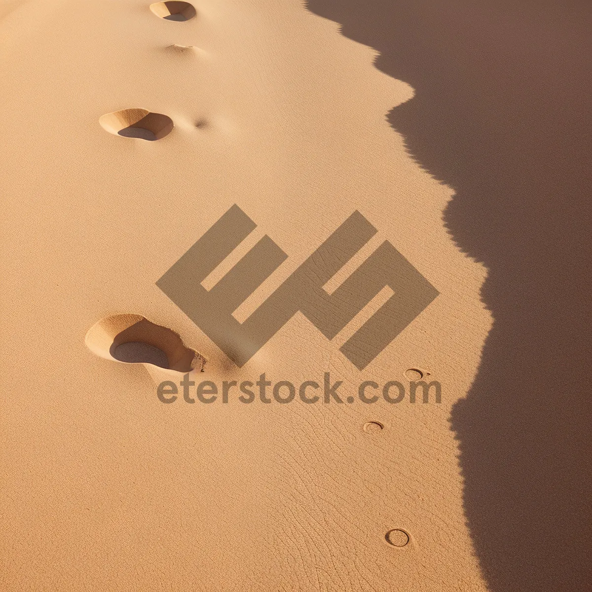 Picture of Textured Dune Sands with Intricate Patterns