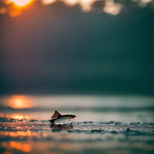 Sunset over the Ocean - Majestic Horizon