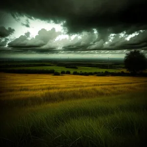 Serene Countryside under the Sun