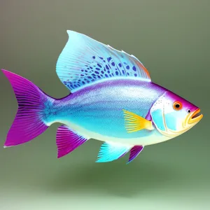 Golden Finned Aquarium Pet Swimming in Water