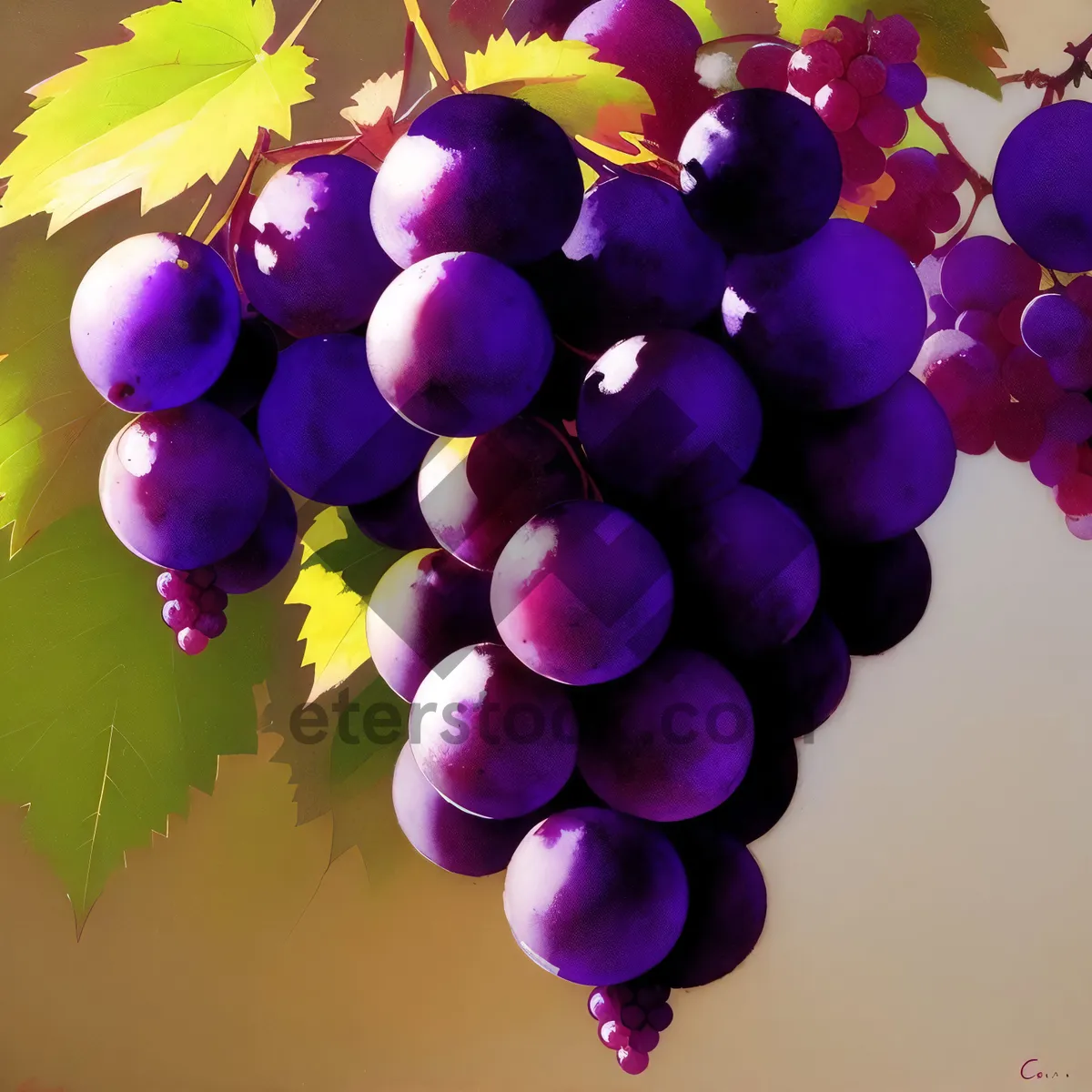 Picture of Vibrant Autumn Harvest: Beautiful, Ripe Grapes for Wine