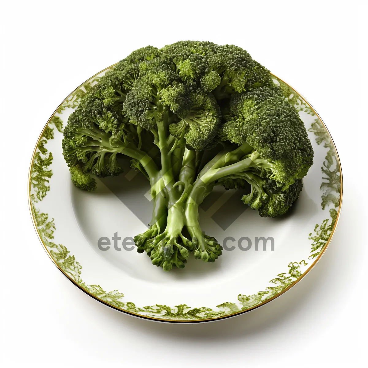 Picture of Fresh organic broccoli and cabbage on leafy stem.