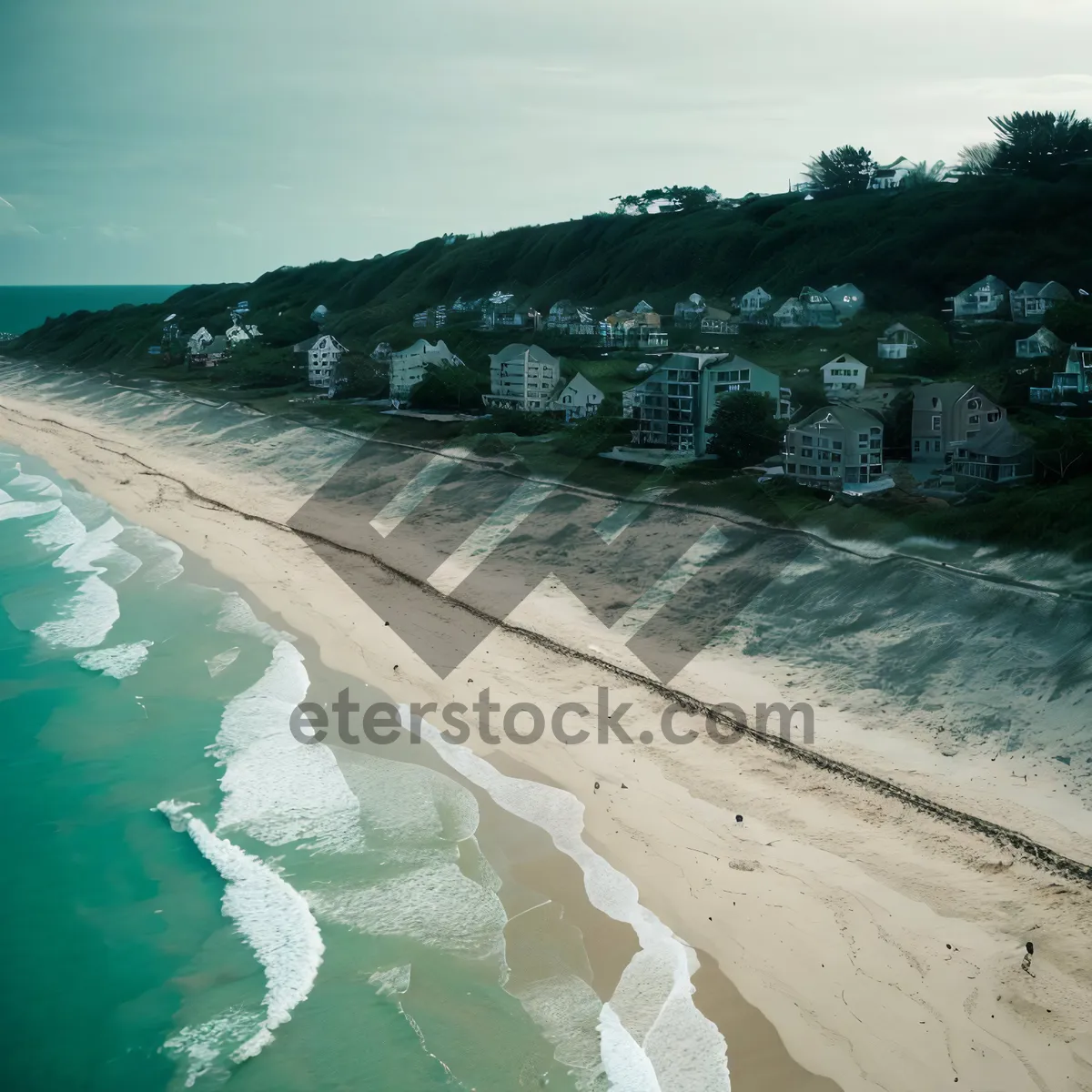 Picture of Tropical Paradise by the Sandy Beach