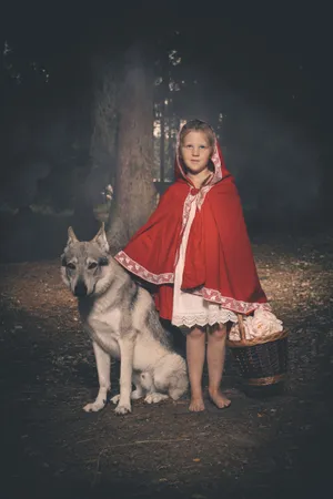 Cute Malamute Sled Dog Portrait