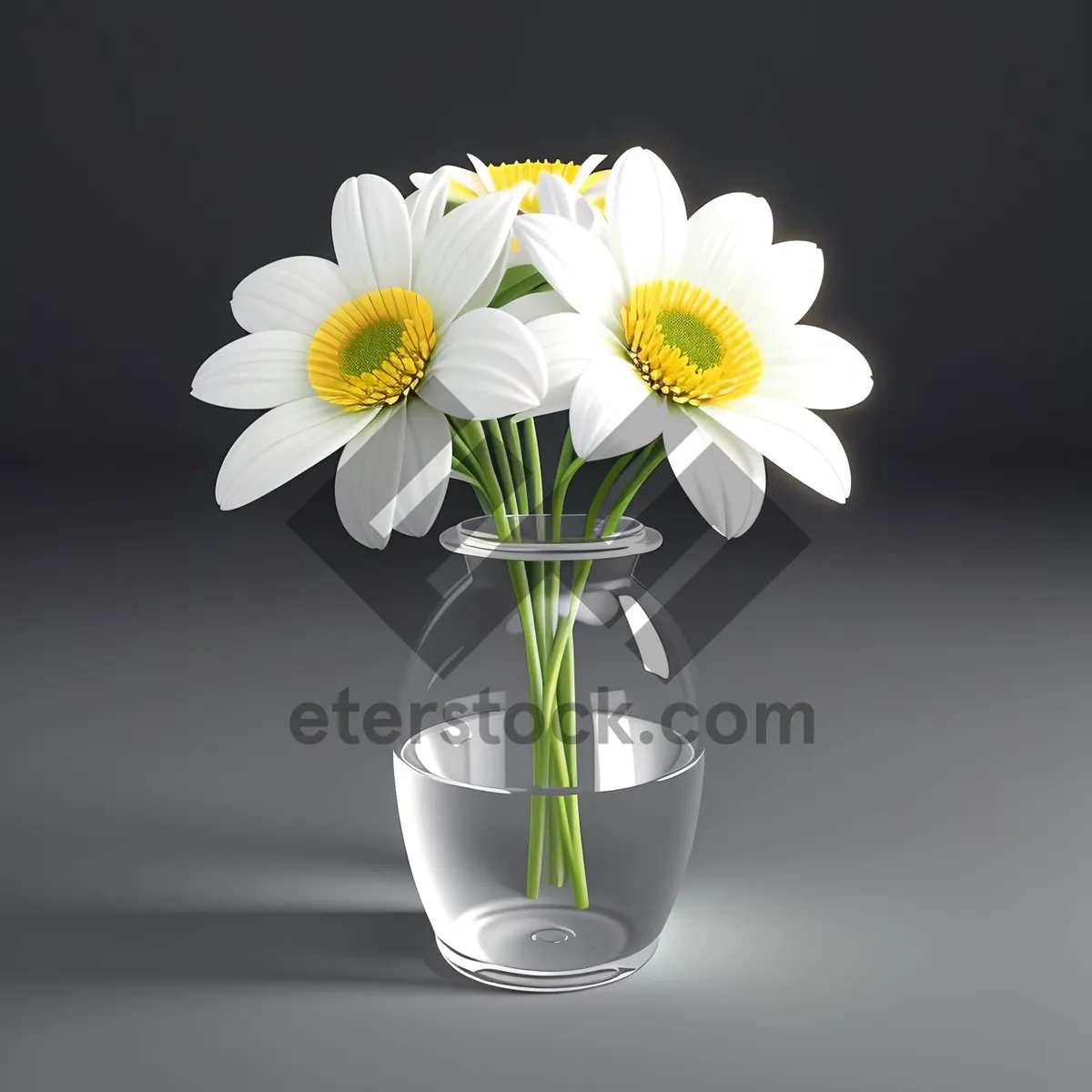 Picture of Yellow Daisy Blossom in Glass Vase