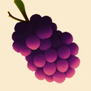 Fresh, Ripe Grape Bunch from Healthy Farm