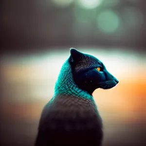 Vibrant Peacock Feather: Majestic Bird's Exquisite Plumage