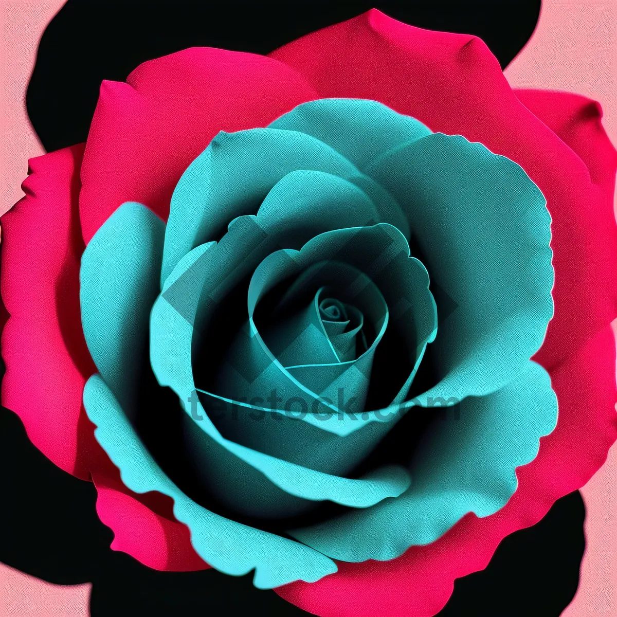 Picture of Romantic Rose Blossom: A Vibrant Symbol of Love and Romance
