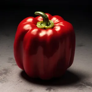 Fresh Bell Pepper Salad with Organic Vegetables