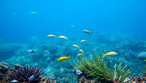 Colorful Tropical Fish Swimming in Exotic Coral Reef