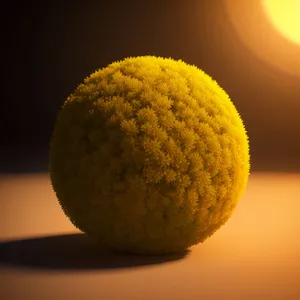 Yellow Tennis Ball - Fresh and Juicy Citrus Served for the Game