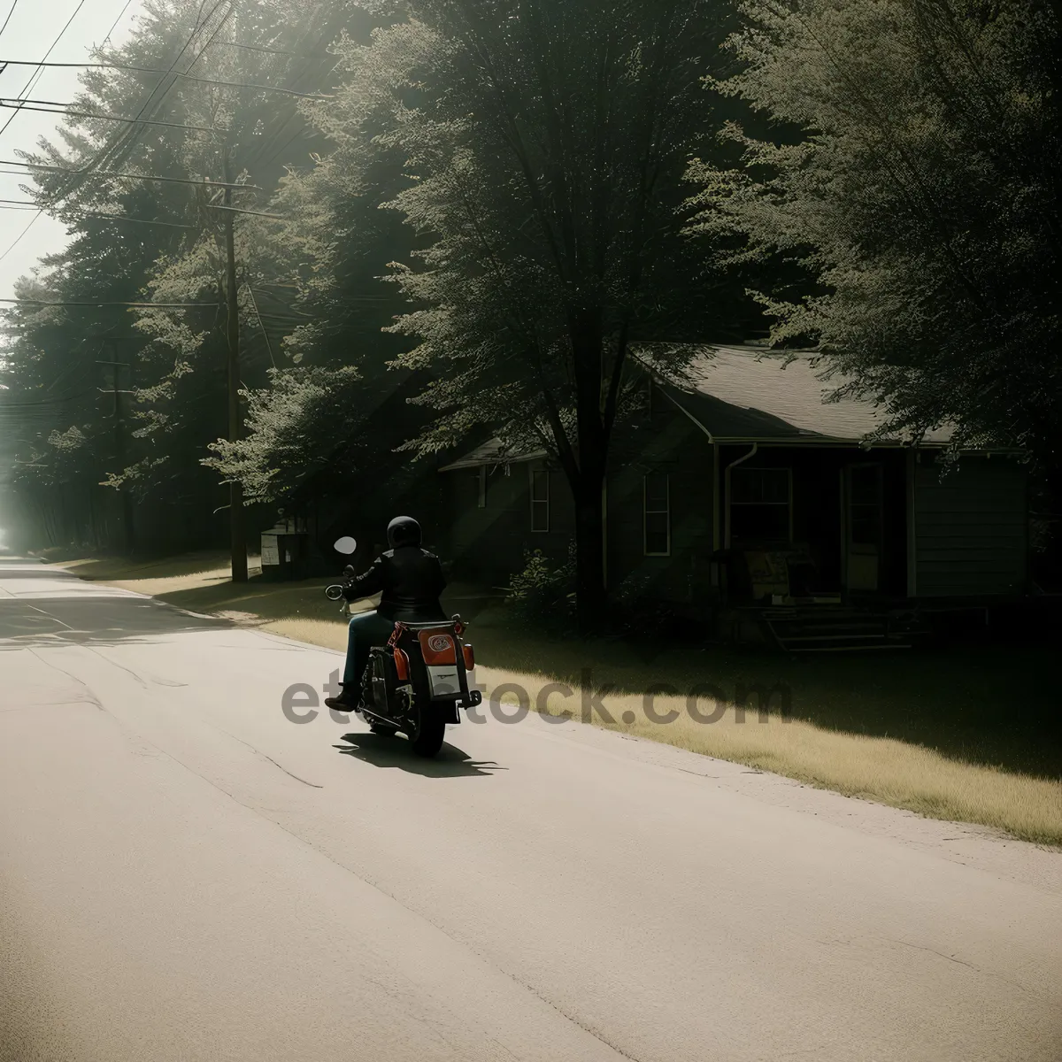 Picture of Sporty Sidecar: Conveyance for Wheeled Adventure