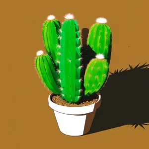 Macho Mustache Meets Brushed Cactus Plant