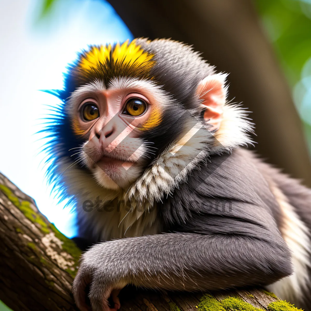 Picture of Wild Primate Portrait: A Playful Baby Monkey in the Jungle