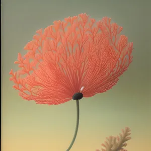 Vibrant Poppy Blossoming in a Colorful Field