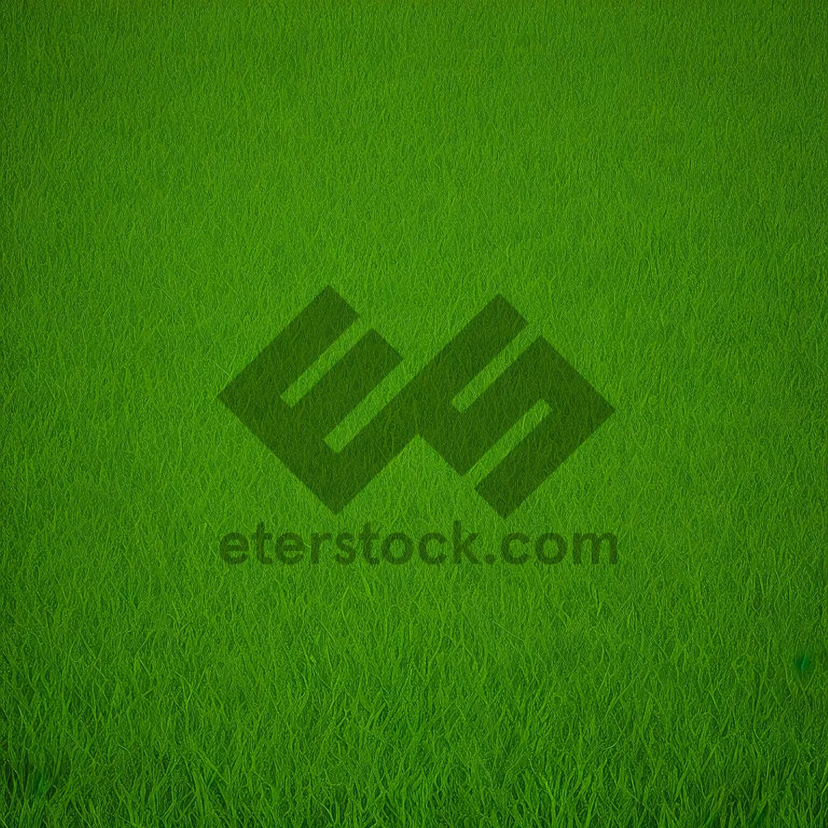 Picture of Greenery Meadow: Textured Grass Field Backdrop