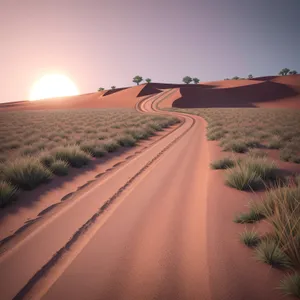 Sunny Desert Dunes Landscape on a Summer Evening