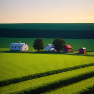 Vibrant countryside landscape with rolling hills and golden meadows.