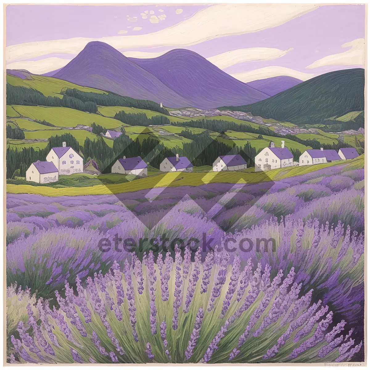 Picture of Serene Lavender Meadow Blooming with Vibrant Purple Sage