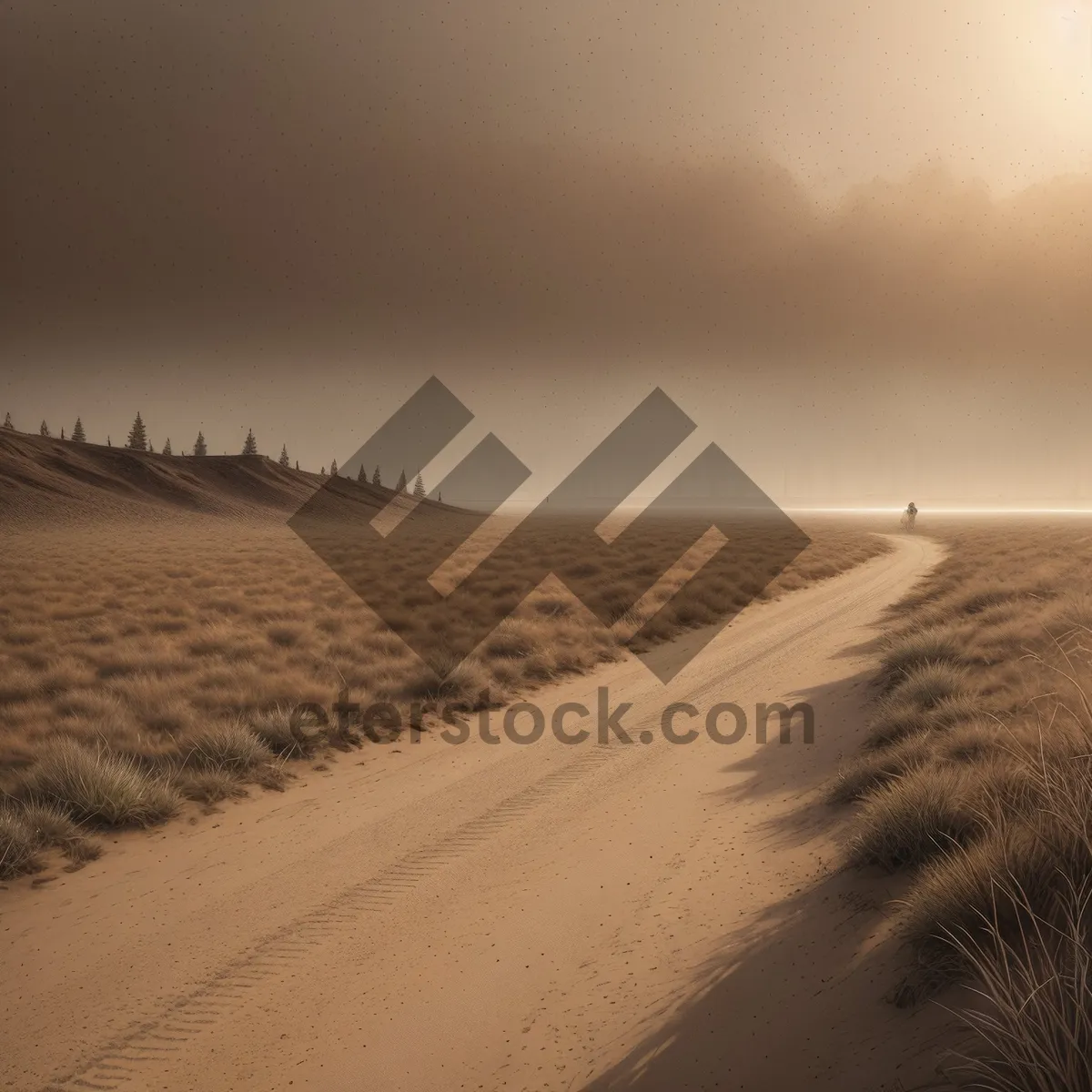 Picture of Serene Coastal Dunes meet Azure Waters