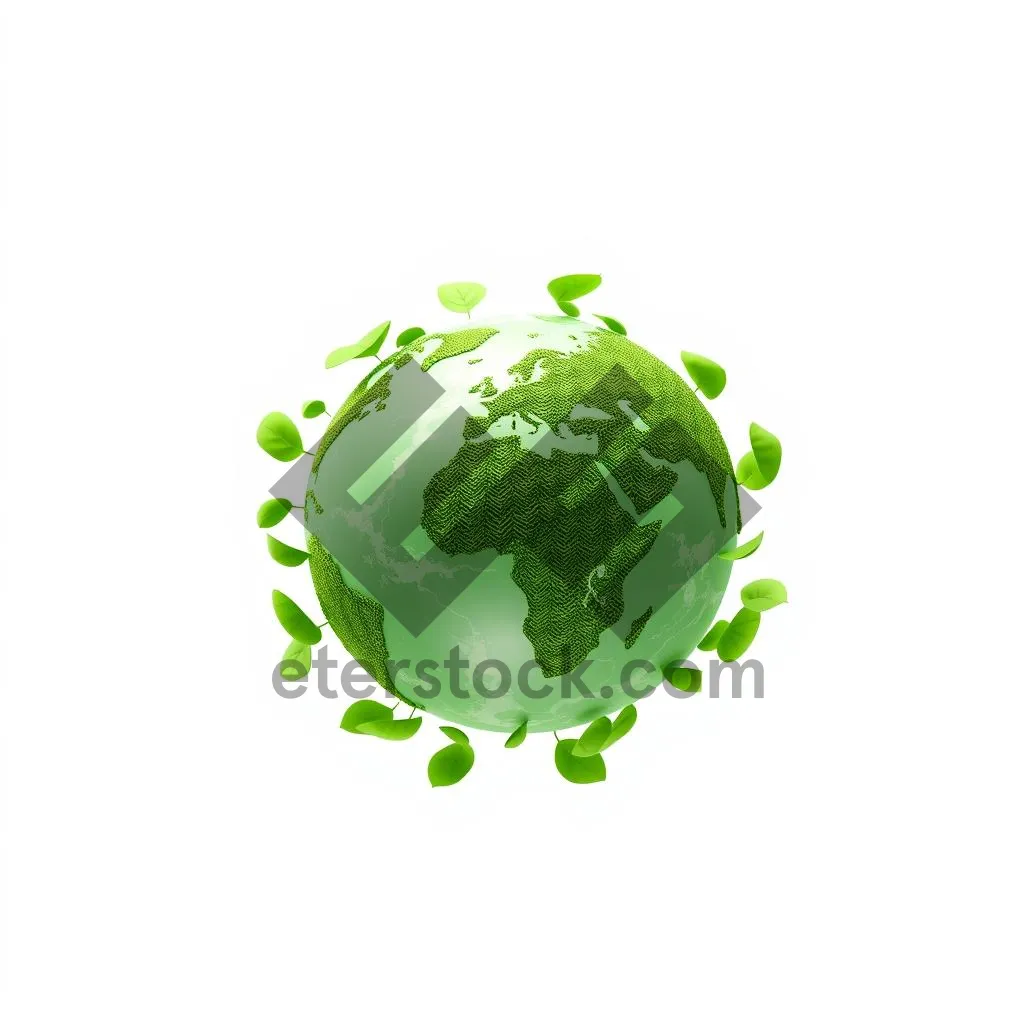 Picture of Floral Leaf Design Symbol Art Illustration