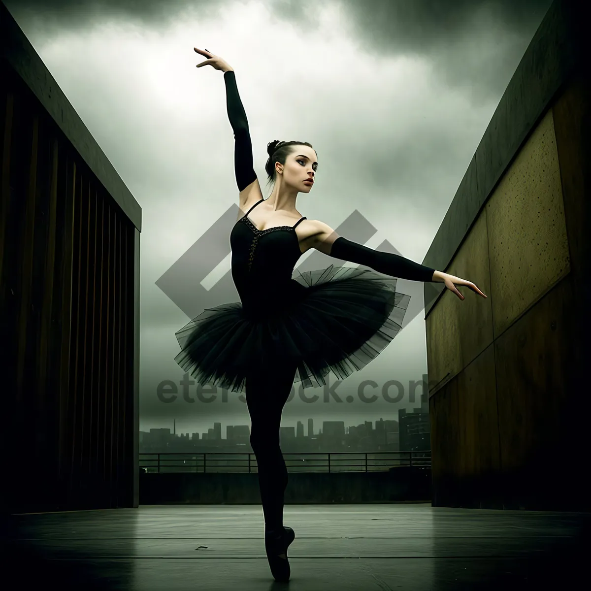 Picture of Sundown Dancer: Elegance in Motion