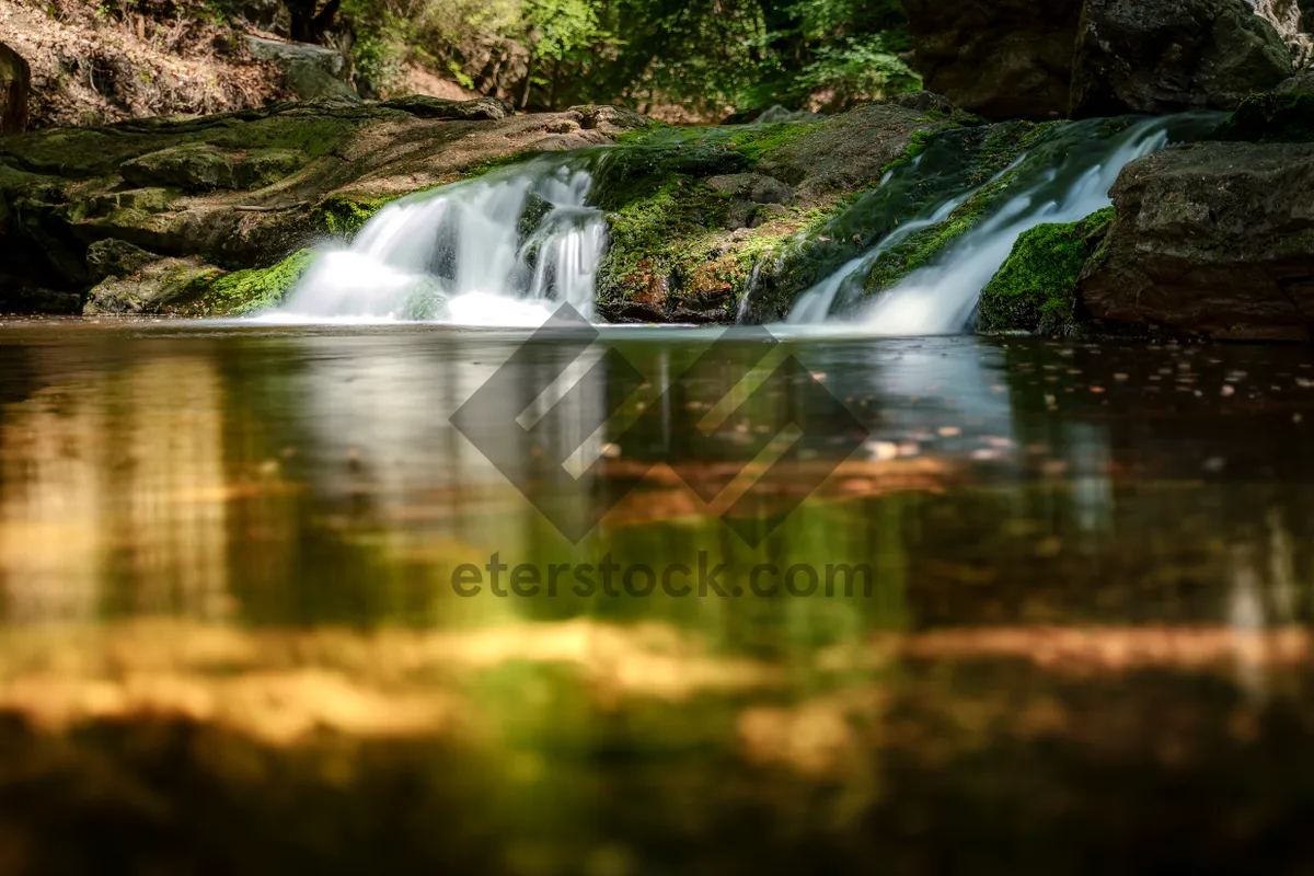 Picture of Soothing waterfall in a serene forest landscape