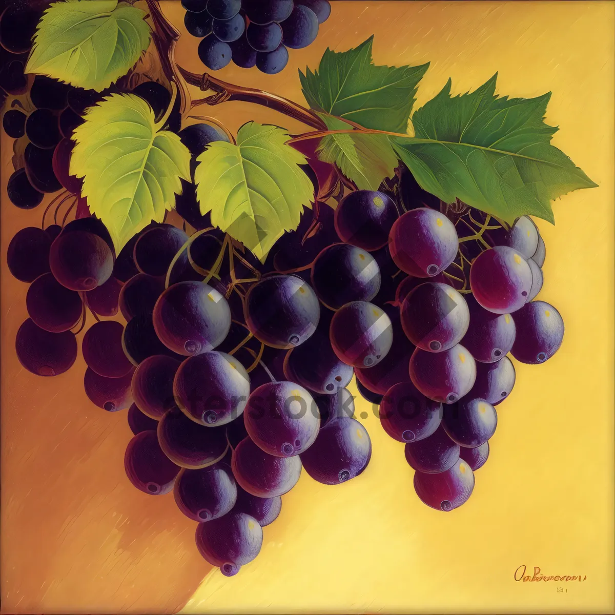 Picture of Sweet Harvest: Fresh and Juicy Autumn Grape Bunch