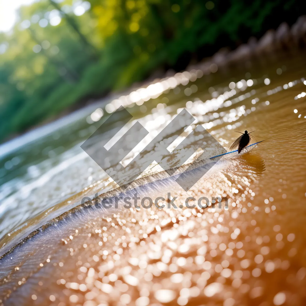 Picture of Sparkling Raindrop Web in Sunlight