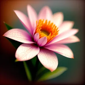 Tropical Lotus Blossom in Pink