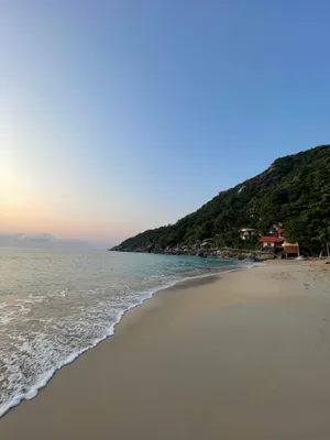 Tropical beach landscape with waves and palm trees.