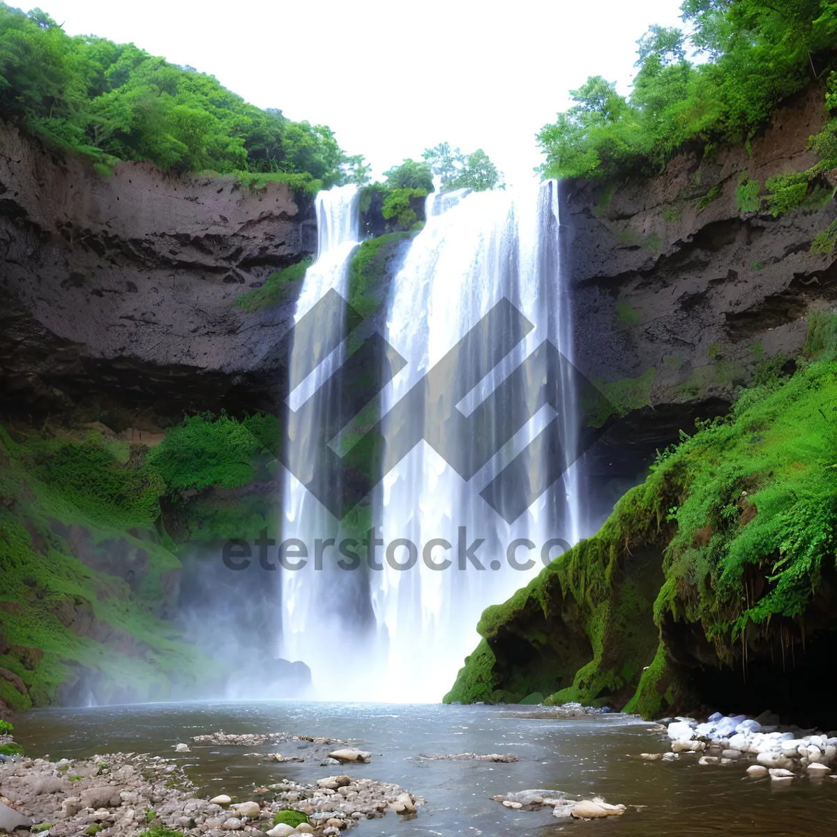 Picture of Serene Mountain Stream Flowing Through Forest