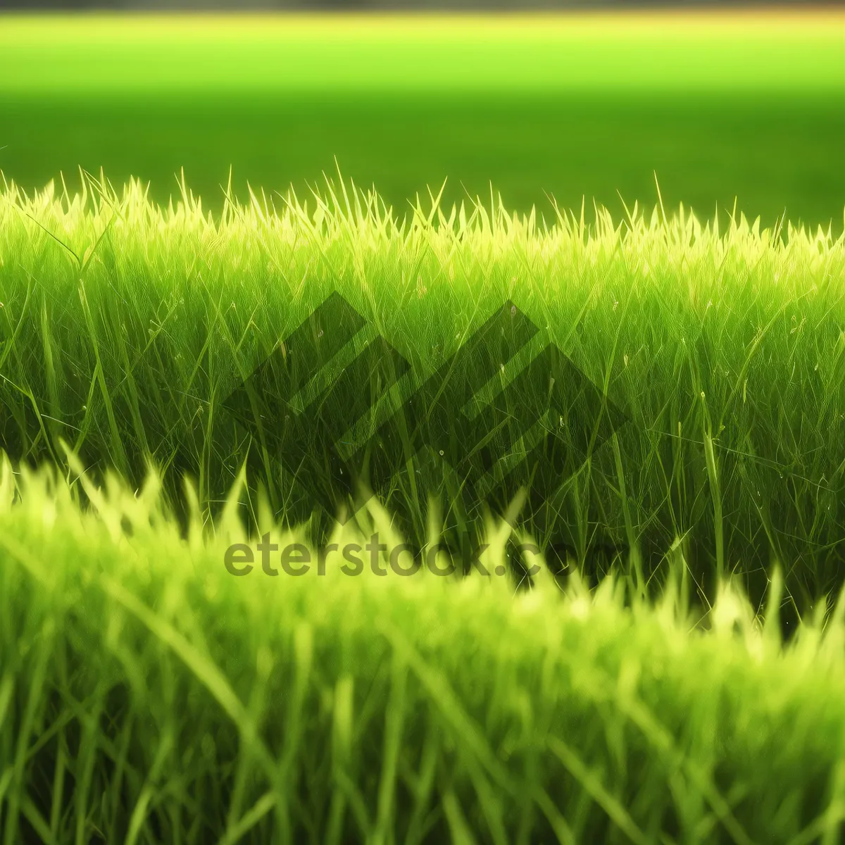 Picture of Vibrant Spring Meadow with Lush Green Grass