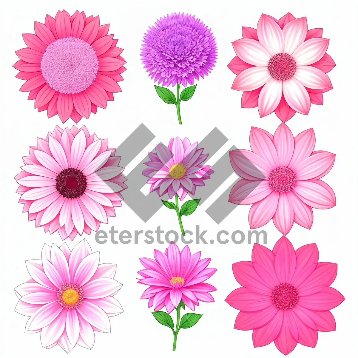 Picture of Pink Floral Pattern Design - Decorative Lotus Flower Wallpaper