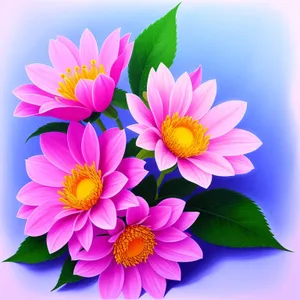 Blooming Lotus: Pink Floral Blossom in a Colorful Garden