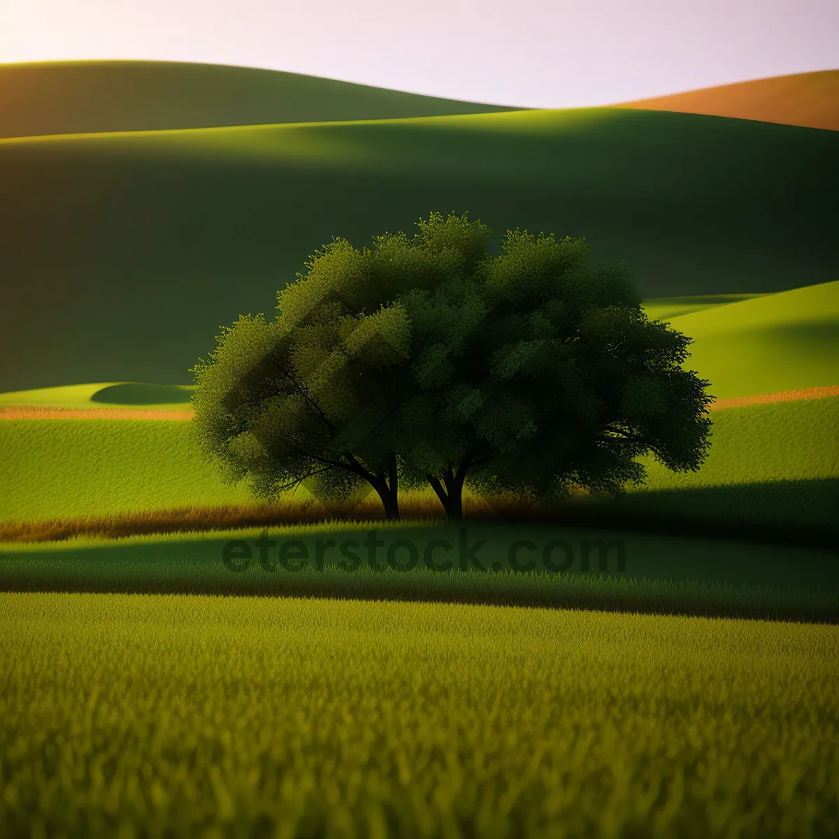 Picture of Golden Fields under Sunny Skies