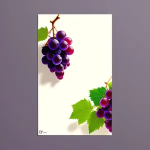 Festive Holly Berry Celebration Card