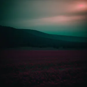 Golden Horizon: Majestic Sunset Over Rural Landscape