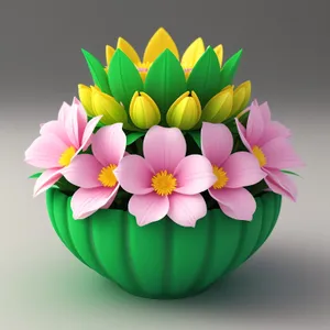 Colorful Blooming Lotus: A Vibrant Floral Gift