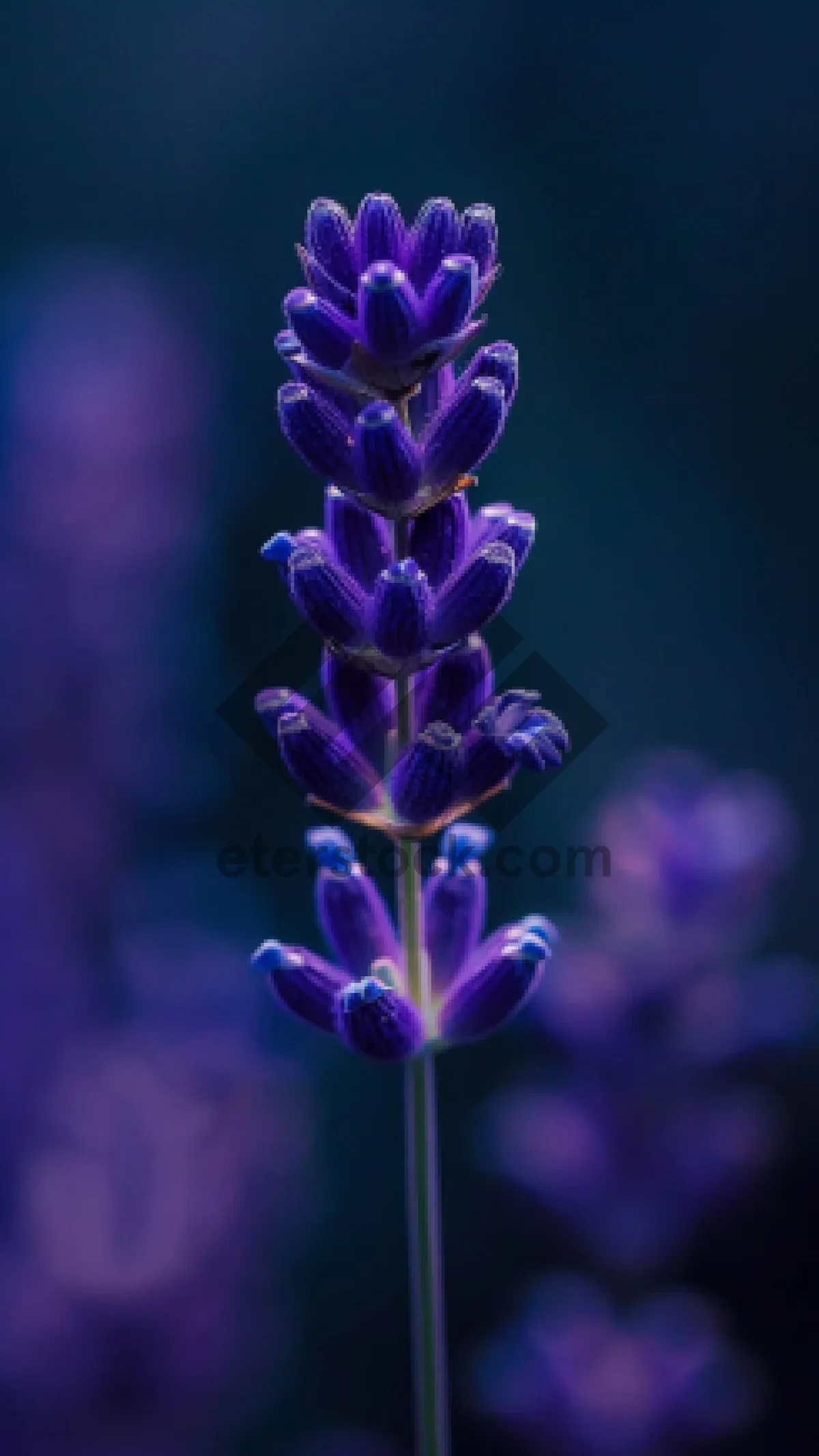 Picture of Colorful 3D Human Anatomy X-Ray Image with Purple Lilac Flower