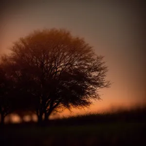 Golden Horizon: Majestic Sunrise over Rural Landscape