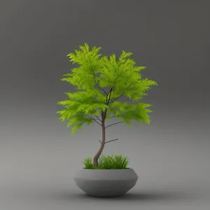 Evergreen Tree Branch with Parsley Decoration
