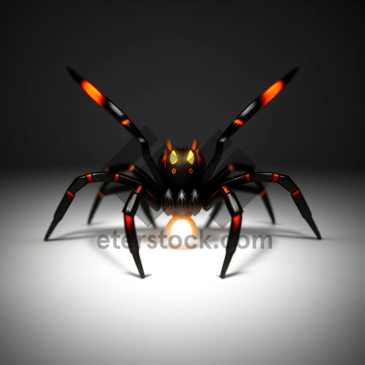 Picture of Blazing Black Widow: A Striking Arachnid Image.