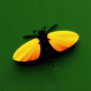 Yellow Butterfly on Scarlet Pimpernel Blossom in Garden"
or
"Colorful Butterfly Resting on Scarlet Pimpernel Petal