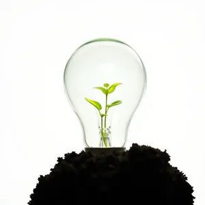 Glowing Light Bulb Illuminating Seeds - Energy Idea