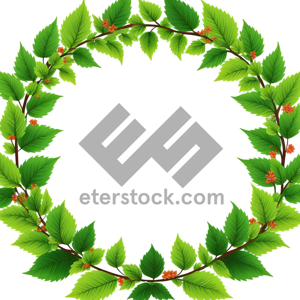 Picture of Organic Maple Leaf in Spring Greenery