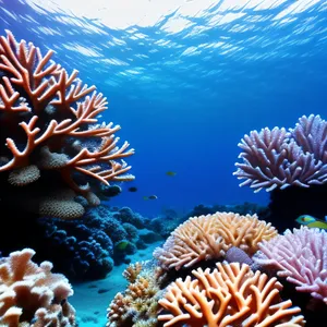 Vibrant Tropical Coral Reef Teeming with Life