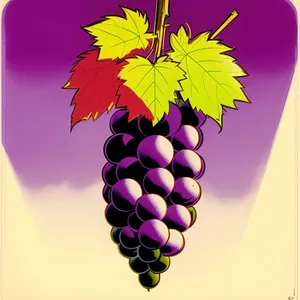 Vibrant Grape Vineyard Celebration Frame